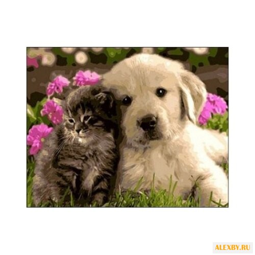 Рыжий кот Картина по номерам