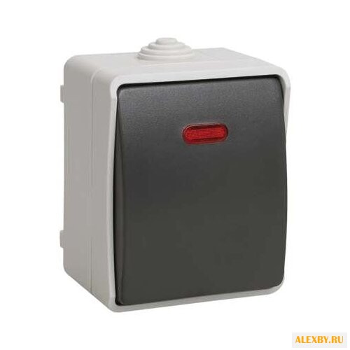 Выключатель 1-полюсный IEK