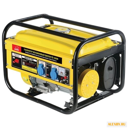 Бензиновая электростанция Бизон