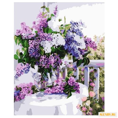 Paintboy Картина по номерам