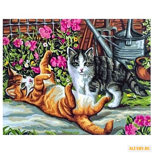 Цветной Картина по номерам