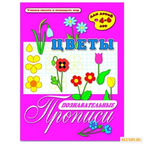 Познавательные прописи. Цветы