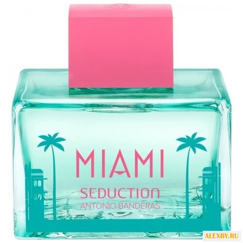 Antonio Banderas Miami