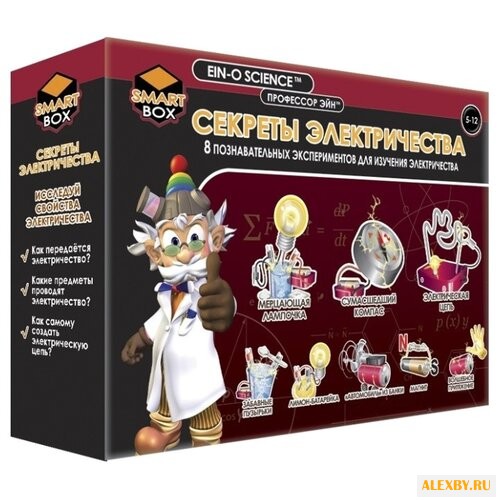 Набор Профессор Эйн Секреты