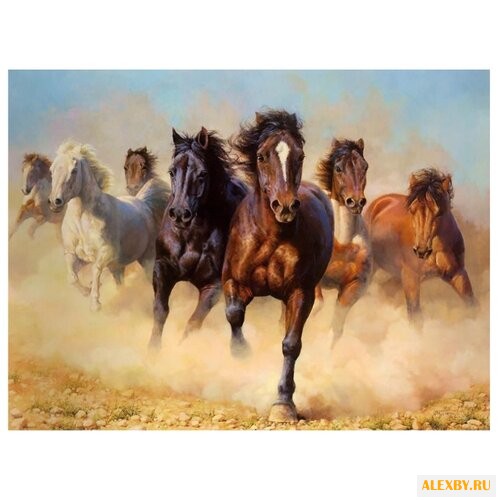 Рыжий кот Картина по номерам