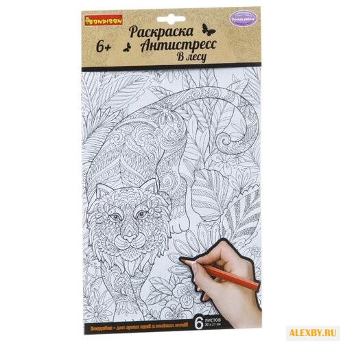 BONDIBON Набор раскрасок