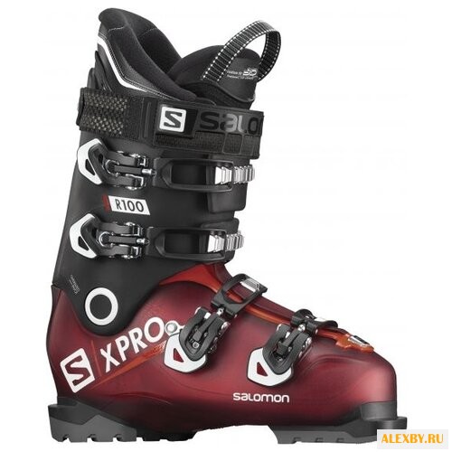 Ботинки для горных лыж Salomon