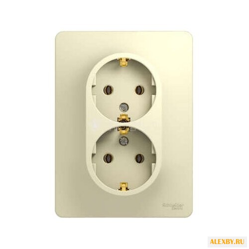 Розетка Schneider Electric