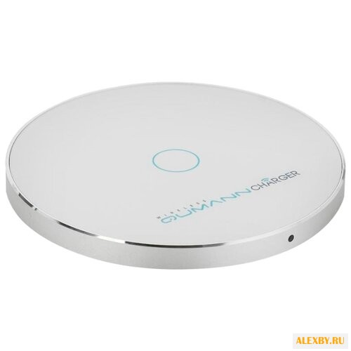 Сетевая зарядка Qumann QWC-02