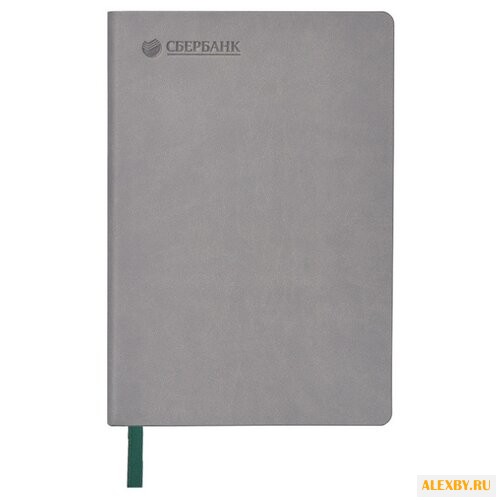 Ежедневник недатированный