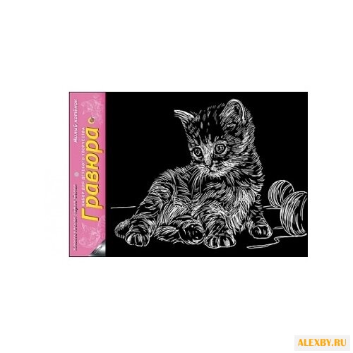 Гравюра Рыжий кот Милый котёнок