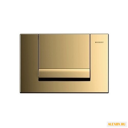 Кнопка смыва GEBERIT