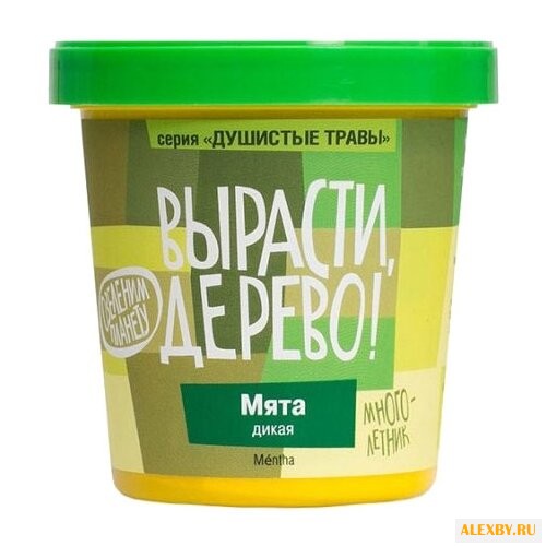 Набор для выращивания Вырасти