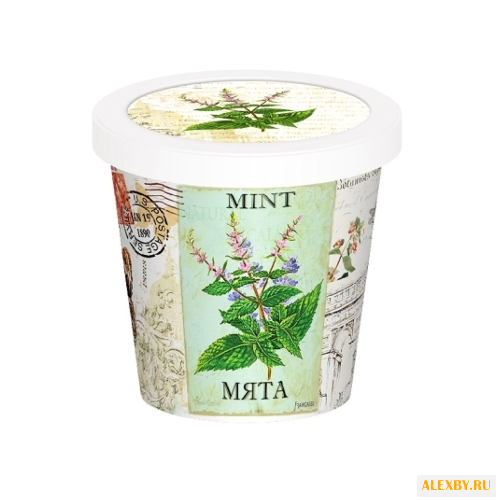 Набор для выращивания Rostok