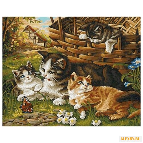 Рыжий кот Картина по номерам
