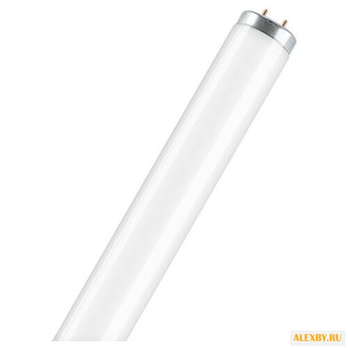 Лампа люминесцентная OSRAM