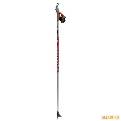 Лыжные палки Spine Carrera