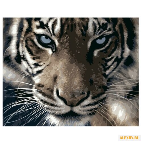 Рыжий кот Картина по номерам