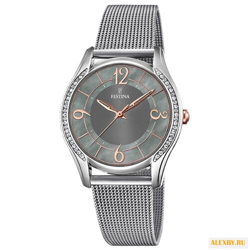 Наручные часы FESTINA F20420 2