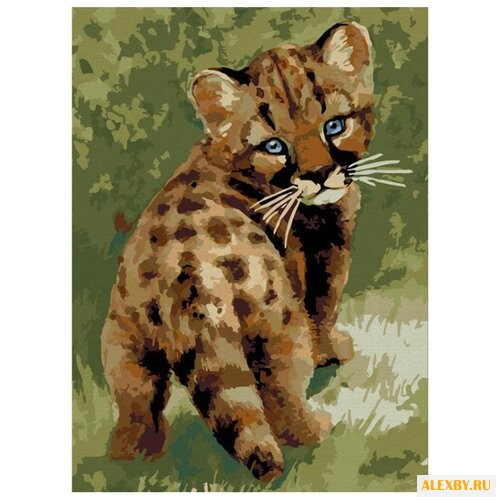 Белоснежка Картина по номерам