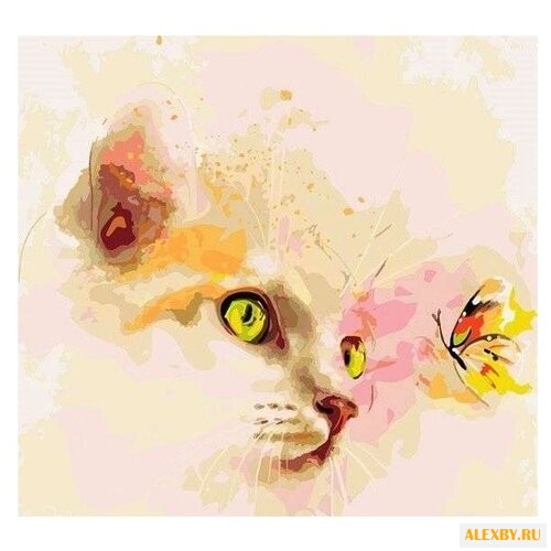 Paintboy Картина по номерам