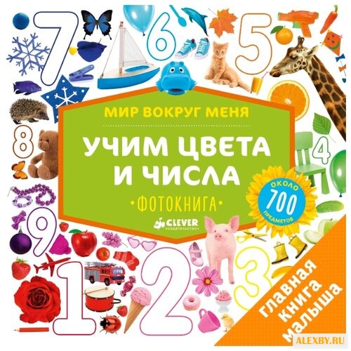 Попова Е. Учим цвета и числа.