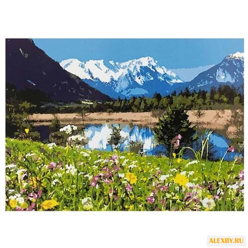 Paintboy Картина по номерам