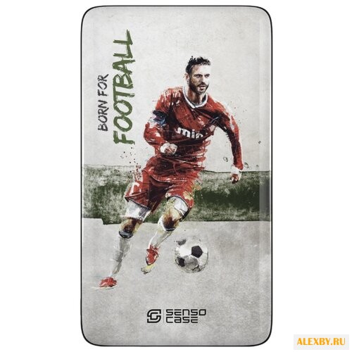 Аккумулятор Sensocase Power