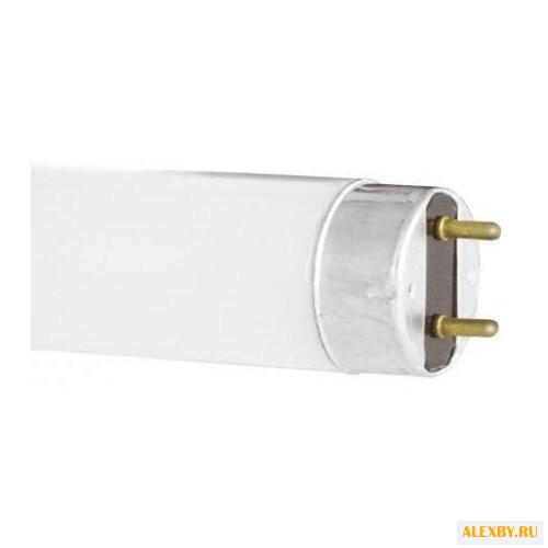 Лампа люминесцентная Camelion