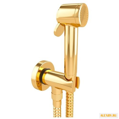 Гигиенический душ STURM