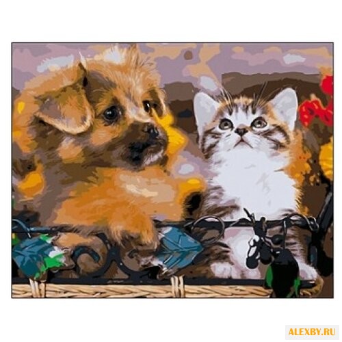 Рыжий кот Картина по номерам