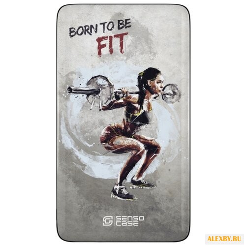 Аккумулятор Sensocase Power