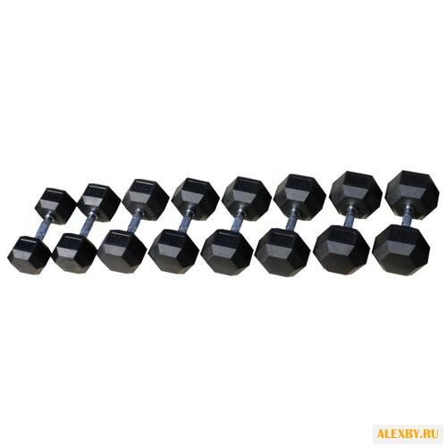 Набор гантелей неразборных Body