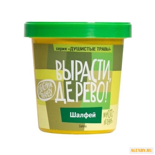 Набор для выращивания Вырасти