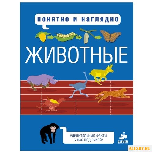 Хайнз М. Понятно и наглядно.