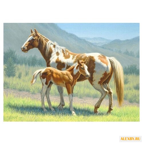 Paintboy Картина по номерам