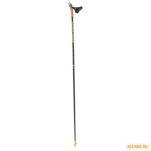 Лыжные палки Fischer RCS