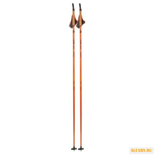 Лыжные палки Bjorn Daehlie Symbol