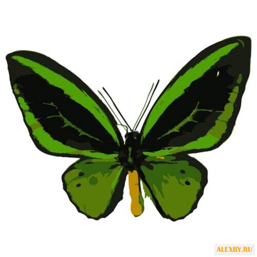 Цветной Картина по номерам