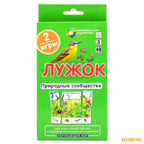 Набор карточек Айрис-Пресс