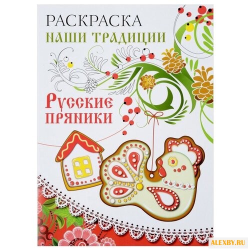 Стрекоза Раскраска Наши
