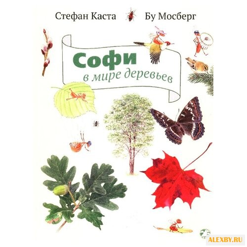 Каста С. Софи в мире деревьев