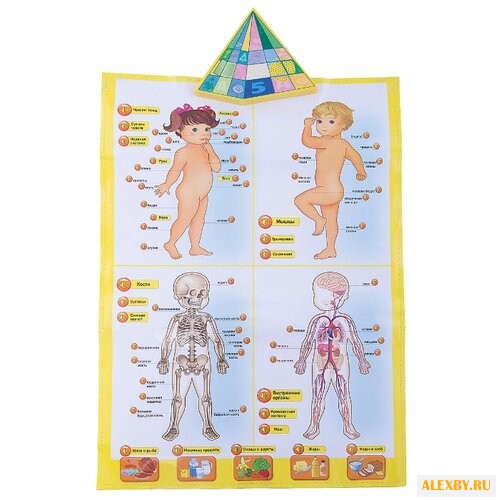 Электронный плакат Kribly Boo