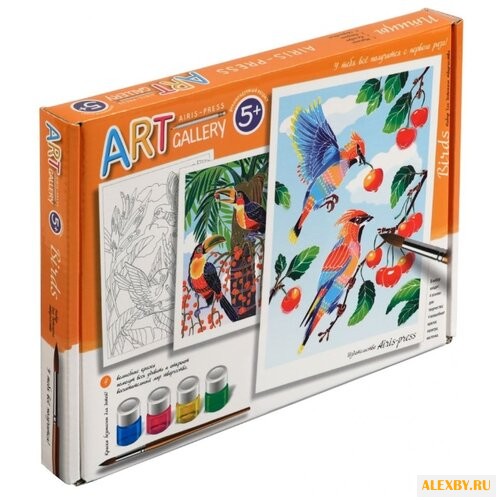 Айрис-Пресс Набор для