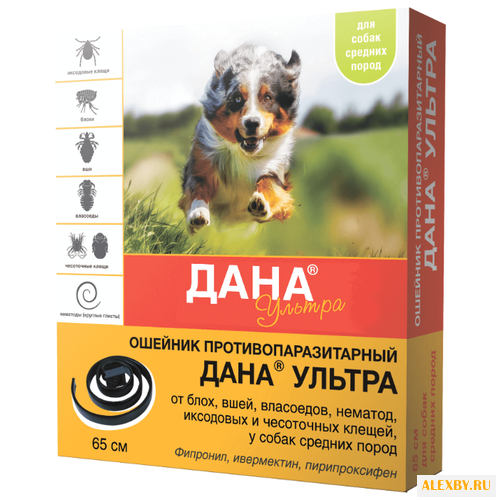 Api-San Дана Ультра Ошейник для