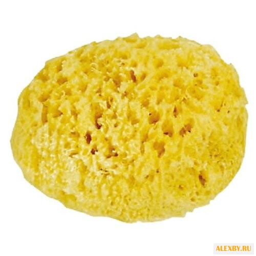Губка Bebe confort натуральная