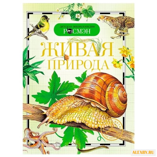 Вологдина Е. В. Детская