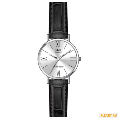Наручные часы Q&Q Q979 J823