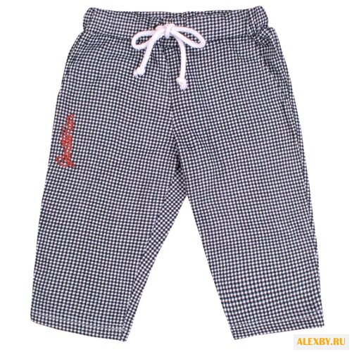 Купить Бриджи Апрель