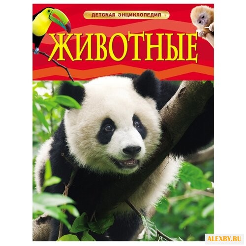 Смит М. Детская энциклопедия.